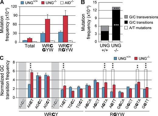 Figure 5. UNG sequence preference for error-free repair is conserved in B cells. Primary spleen B cells from UNG+/+ (n = 4), UNG−/− (n = 4), and AID−/− (n = 2) mice were isolated, stained with CFSE, and cultured in the presence of LPS, IL-4, and BAFF for 96 h. Cells that had undergone five or more divisions were sorted and Sµ region was PCR amplified and sequenced by NGS. (A) Mutation frequency in UNG+/+, UNG−/−, or AID−/− was calculated as in Fig. 2 B. Standard deviations are shown. Frequency values are shown in Table 3. (B) Absolute frequency of G/C transversions, G/C transitions, and A/T mutations calculated as in Fig. 3 D. (C) G/C transition frequencies in UNG+/+ and UNG−/− mice in individual WRCY and RGYW hotspots in Sµ sequence, normalized to the mean G/C transition frequency in each mouse. Standard deviations are shown. Shadowed hotspots (AACC and TACC) are not present in the Sμ sequence. **, P < 0.01; ***, P < 0.001. Reference Sμ sequence is shown in Fig. S1 B. Complete mutation data are shown in Table S2.