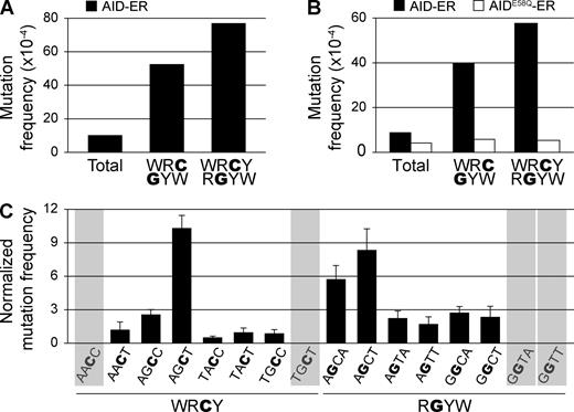 Figure 2. Detection of AID-induced mutations by NGS. NIH-3T3 cells were co-transduced with mOrangeSTOP and AID-ER– or AIDE58Q-ER–expressing vectors. Transduced cells were cultured in the presence of OHT during 11 d. mOrangeSTOP transgene was PCR amplified from the total cell population and mutations were analyzed by Sanger sequencing (A) and NGS (B and C). (A) Mutation frequency in AID-ER–expressing cells in the complete mOrangeSTOP sequence (total) and in cytosines or guanines of AID hotspots (WRC/GYW and WRCY/RGYW) is represented. (B) Mutation frequency in AID-ER– or AIDE58Q-ER–expressing cells. Total mutation frequency was calculated as the mean of the mutation frequencies in all nucleotides of the amplified mOrangeSTOP sequence. WRC/GYW and WRCY/RGYW mutation frequencies were calculated as the mean of the mutation frequencies in G/C nucleotides contained in the respective hotspots. Values are from one representative of three independent experiments (Table 2). (C) Mutation frequency in individual WRCY and RGYW hotspots in mOrangeSTOP sequence, normalized to the mean mutation frequency at G/C nucleotides. Bars represent the mean of three independent experiments. Error bars show standard deviations. Shadowed hotspots (AACC, TGCT, GGTA, and GGTT) are not present in the mOrangeSTOP sequence. The reference mOrangeSTOP sequence is shown in Fig. S1 A.
