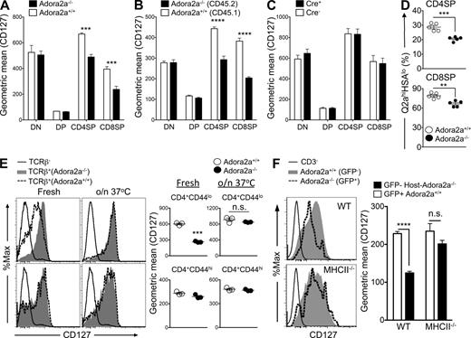 Figure 8. Recovery of CD127 expression in Adora2a−/− T cells in the absence of TCR signaling. (A–C) Expression of CD127 in thymic precursors of Adora2a+/+ and Adora2a−/− mice (A), recipient mice reconstituted with Adora2a+/+ and Adora2a−/− bone morrows (B), and Adora2af/f-LckCre+/− and Adora2af/f-LckCre−/− littermates (C; n = 4, ***, P < 0.001; ****, P < 0.0001 by two-way ANOVA and Bonferroni post-hoc analysis). (D) Proportions of Qa2hiHSAlo populations from SP thymocytes isolated from Adora2a+/+ and Adora2a−/− mice (n = 5 from one of two independent experiments with similar results; **, P < 0.01; ***, P < 0.001 by unpaired two-tailed Student’s t test). Please see Fig. S1 for gating strategy. (E) CD127 expression on T cells were measured before and after T cells isolated from spleen and LNs of Adora2a+/+ and Adora2a−/− mice were sorted and cultured ex vivo overnight at 37°C (n = 4 from two independent experiments with similar results; ***, P < 0.001 after unpaired two-tailed Student’s t test). (F) Enriched GFP+ Adora2a−/− naive CD4+ T cells were transferred to WT or MHCII−/− animals. CD127 expression in transferred GFP+ cells and host GFP− naive CD4+ T cells was measured after 24 h (n = 4, from two independent experiments with similar results; ****, P < 0.0001 by two-way ANOVA and Bonferroni post-hoc analysis). Error bars are SEM.