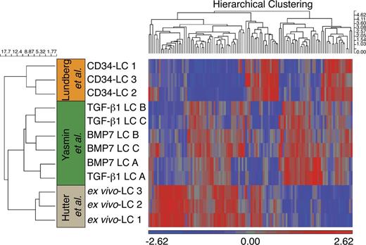 Figure 7. Gene expression analysis. Clustering using complete linkage algorithm on differentially expressed transcripts, identified by ANOVA analysis within multiple testing cutoff (false discovery rate is 5%, significance level is 0.05), demonstrates relationship among in vitro and ex vivo LCs. Heat map visualizing gene expression profiles of differentially expressed genes (listed in Table S1) upon hierarchical clustering with complete linkage and Euclidean measure. Colors represent high (red) and low (blue) normalized intensity. CD1a+CD207+ cells were generated from three independent donors (A, B, and C) in response to TGF-β1 or BMP7 and were flow sorted before analysis.