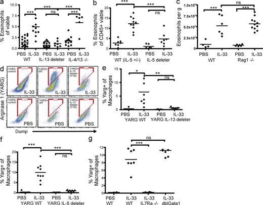 Figure 6. IL-33 induces ILC2-dependent VAT accumulation of eosinophils and Arginase-1+ AAMs. (a–c) VAT eosinophils or VAT YARG+ (YFP+) AAM (e-g) determined as a percentage of CD45+ cells (a and b), total viable cells per g (c), or as a percentage of total macrophages (d–g) 24 h after administration of 500 ng IL-33 or PBS. (d) Representative FACS plots of YARG+ AAM from the strains indicated, pregated on total macrophages (Fig. S1). IL-13 deleter mice, YetCre13 Y/Y x ROSA-DTA D/+ BALB/c; IL-5 deleter mice, Red5 R/+ x ROSA-DTA D/+ C57BL/6; mice with YARG reporter as noted (e–g). (a–c and e–g) Data were pooled from two or more experiments. Numbers indicate percentages of cells in gate. *, P < 0.05; **, P < 0.01; ***, P < 0.001.