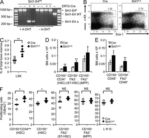 Figure 1. Induced loss of Sirt1 in adult mice causes HSPC expansion. (A) PCR was used to detect deletion of Sirt1 exon 4 using genomic DNA from BM of Sirt1-E4fl/fl mice with (+) or without (−) ERT2-Cre transgene in the presence or absence of a 4-OHT–supplemented diet. Δ: deletion of exon 4. (B) Representative FACS analysis of lineage marker-negative HSPCs based on expression of c-Kit and Sca-1 in 4-OHT–treated Sirt1-E4fl/fl ERT2-Cre (SIRT1Δ/Δ, n = 5) or ERT2-Cre control mice (Cre, n = 5). (C) Frequency of LSK subset in BM from Sirt1-E4fl/fl Cre (n = 5) and Sirt1Δ/Δ (n = 5) mice after 8–9 wk of 4-OHT administration. Each diamond represents an individual mouse, and results from two independent experiments were combined. P-values are based on a two-tailed Student’s t test. (D and E) Total number of indicated BM subsets in two independent experiments. BM cells were derived from two hind legs (femurs and tibias) of SIRT1Δ/Δ mice and Cre controls after 7–8 wk of 4-OHT administration. Subsets were identified based on CD34, Flk2, and CD150 (D; Cre n = 4, SIRT1Δ/Δ n = 5) or CD48 and Flk2 (E; Cre n = 4, SIRT1Δ/Δ n = 3). Error bars depict SD. See Fig. S1 A for representative gating strategies. (F) Fraction of cycling, BrdU+ HSPC subsets measured after 18 h of BrdU administration in CD150+CD34low, total CD150+, CD150−Flk2−, and CD150−Flk2+ progenitors and Lin−Sca-1−c-Kit− (L−K−S−) cells from mice in D: Cre (n = 3) and SIRT1Δ/Δ (n = 5), diamonds represent individual animals. Horizontal bars represent the mean of all data points. *, P ≤ 0.05; **, P ≤ 0.01; NS, not significant.