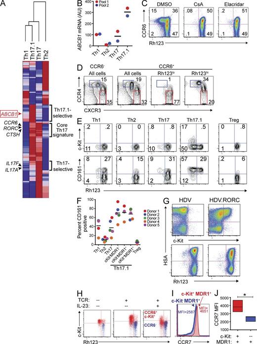 Figure 2. A novel subset of human Th17.1 cells is characterized by transient c-Kit and stable MDR1 expression. (A) TEM Th1, Th2, Th17, or Th17.1 cells were FACS-sorted from healthy adult donor peripheral blood as in Fig. 1 B. Sorted cells were stimulated with anti-CD3/anti-CD28 for 36 h and RNA was isolated for microarray analysis. Mean normalized raw gene expression values from two independent microarray experiments on cells sorted from different donor pools (each pool containing blood from 3–4 donors) were used to identify differentially expressed genes (1.8-fold cutoff). Data shown is a hierarchical clustering heatmap of all differentially expressed genes, with log2 transformation and row normalization. Red, high relative gene expression; dark blue, low relative gene expression. Representative gene symbols within each cluster are shown (a complete list of the genes and their absolute expression values within each cluster is provided in Table S1). (B) TEM Th1, Th2, Th17, or Th17.1 cells, FACS-sorted as in Fig. 1 B, were stimulated with anti-CD3/anti-CD28 for 72 h and expression of ABCB1 was determined by nanostring. Data are shown as ABCB1 mRNA expression (AU, arbitrary units) in two experiments performed on independent (color-coded) donor pools, with each pool containing blood from 2–4 individual donors. Horizontal bars represent the mean values. (C) Total CD4+CD25−CD45RO+ memory T cells isolated from healthy adult donor peripheral blood were labeled with rhodamine 123 (Rh123). After a 1-h efflux period at 37°C in the presence of vehicle (DMSO) or MDR1 inhibitors (CsA, cyclosporine A; Elacridar, selective MDR1 inhibitor), cells were stained with antibodies against CCR6, and Rh123 efflux and CCR6 expression was analyzed by FACS. Data shown are FACS plots from one experiment performed on cells from a healthy adult donor, and represent 3–4 independent experiments performed on cells isolated from different donors. (D) Rh123 efflux by CD4+ memory T cells was determined by FACS analysis as in C. After Rh123 efflux, cells were stained with antibodies against CCR6, CCR4, and CXCR3, and CCR4 and CXCR3 expression was analyzed on total CCR6− or CCR6+ cells, or on CCR6+ cells gated as Rh123lo (MDR1+) or Rh123hi (MDR1−). Data shown are representative FACS plots of >10 experiments performed on memory T cells isolated from independent donors. (E) CD4+ memory T cells were labeled with Rh123 and analyzed for Rh123 efflux as in C. After Rh123 efflux, cells were stained with antibodies against CD25, CCR6, CCR4, CXCR3, CCR7, c-Kit (CD117), and CD161. Cells were gated as TEM (CCR7lo) Th1 (CD25−CCR6−CCR4loCXCR3hi), Th2 (CD25−CCR6−CCR4hiCXCR3lo), Th17 (CD25−CCR6+CCR4hiCXCR3lo), Th17.1 (CD25−CCR6+CCR4loCXCR3hi), or T reg (CD25hi), and Rh123 efflux versus c-Kit (CD117; top) or CD161 (bottom) expression was analyzed in each subset. The FACS plots shown are representative of 5 independent experiments performed on memory T cells isolated from different donors. (F) The percentage of CD161+ cells within human TEM Th1, Th2, Th17, Th17.1 subsets and T reg cells was determined by FACS analysis as in E. Th17.1 cells were further gated into 3 subsets based on c-Kit expression and Rh123 efflux: c-Kit−MDR1−/Rh123hi, c-Kit−MDR1+/Rh123lo, and c-Kit+MDR1+/Rh123lo. Individual and mean percentages of CD161+ cells within each subset ± SD from 5 independent experiments performed on memory T cells isolated from individual (color-coded) donors is shown. (G) Naive CD4+ T cells were isolated from healthy adult donor peripheral blood, stimulated with anti-CD3/anti-CD28, and transduced with empty- (HDV) or RORC-containing (HDV.RORC) lentiviral particles that also contain a mouse HSA (heat stable antigen; a.k.a. CD24) expression cassette. Transduced T cells were expanded in IL-2–containing media for 7 d, and were then loaded with Rh123, incubated at 37°C for 1 h to allow for Rh123 efflux, and stained with antibodies against c-Kit or mouse HSA; Rh123 efflux and c-Kit expression was analyzed as a function of HSA expression in transduced T cells by FACS. FACS plots shown are representative of 3 independent experiments performed on naive T cells isolated from different donors. (H) CD4+ memory T cells isolated from healthy adult peripheral blood were FACS-sorted into CD25−CCR6+c-Kit+ (red) or CCR6− (blue) subsets. Cells were either left resting (no TCR), or were stimulated with anti-CD3/anti-CD28 and cultured for 6 d with or without IL-23. On day 6, cells were loaded with Rh123, stained with antibodies against c-Kit after Rh123 efflux, and analyzed by FACS. FACS plots shown are representative of 3 experiments using cells sorted from different donor pools, with each pool containing blood from 2–4 individual donors. (I) CD4+ memory T cells isolated from healthy adult peripheral blood were analyzed for Rh123 efflux as in E. CCR7 expression was assessed on c-Kit+ (red histogram) and c-Kit− (blue histogram) MDR1+/Rh123loCD25−CCR6+CCR4loCXCR3hi Th17.1 cells by FACS. The overlaid FACS histogram represents 4 experiments performed on memory T cells isolated from individual donors. CCR7 mean fluorescent intensity (MFI) is shown for c-Kit+ (red text) and c-Kit− (blue text) MDR1+ Th17.1 cells. (J) CCR7 MFI in c-Kit+ (red) and c-Kit− (blue) MDR1+ Th17.1 cells was determined by FACS analysis as in I. Data are shown as mean CCR7 MFI ± SD in c-Kit+ or c-Kit− MDR1+ Th17.1 cells from 4 individual donors. *, P < 0.05 by paired Student’s t test.