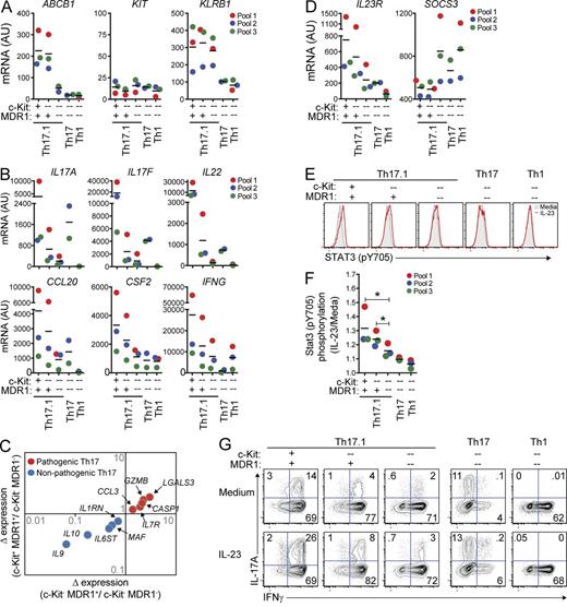 Figure 3. Unique pro-inflammatory characteristics of human MDR1+ Th17.1 cells. (A and B) Human CD4+ memory T cells from pooled healthy adult donor peripheral blood were FACS-sorted into TEM (CCR7lo) Th17.1 (CCR6+CCR4loCXCR3hi), Th17 (CCR6+CCR4hiCXCR3lo), or Th1 (CCR6−CCR4loCXCR3hi) cells. Th17.1 cells were sub-sorted into c-Kit+ or c-Kit− MDR1+ (Rh123lo), or c-Kit−MDR1− (Rh123hi) cells as indicated; Th17 and Th1 cells were sorted as c-Kit−MDR1− cells (see Fig. S1 for gating/sorting strategy). All cells were stimulated with anti-CD3/anti-CD28 for 72 h and expression of ABCB1 (MDR1), KIT (c-Kit), and KLRB1 (CD161; A), or IL17A, IL17F, IL22, CCL20, CSF2 (GM-CSF), and IFNG (B) was determined by nanostring. Data are shown as individual (color-coded) and mean normalized raw expression values (AU, arbitrary units) in cells sorted from 2–3 independent donor pools, with each pool containing blood from 2–4 individual donors. (C) Expression of pathogenic (red dots) or nonpathogenic (blue dots) murine Th17-signature genes (Lee et al., 2012) in TEM c-Kit+MDR1+, c-Kit−MDR1+, or c-Kit−MDR1− Th17.1 cells was determined by nanostring as in A and B. Mean normalized raw expression values from 3 independent experiments performed on different donor pools containing blood from 2–4 individual donors were used for fold change calculations. (D) Expression of IL23R and SOCS3 mRNA was determined in human TEM subsets by nanostring as in A and B. (E) FACS-sorted TEM subsets from healthy donor peripheral blood (as in A and B) were stimulated with anti-CD3/anti-CD28 and cultured for 3 d with or without IL-23. Stat3 phosphorylation (pY705) was determined on day 3 by phospho-intracellular staining and FACS analysis. Gray filled histograms, media alone; red traced histograms, plus IL-23. Representative FACS plots are shown and represent 3 independent experiments using cells isolated from different donor pools, with each pool containing blood from 2–4 individual donors. (F) Stat3 phosphorylation was determined by flow cytometry in TEM subsets cultured with or without IL-23 for 3 d as in E. Data are shown as mean fold change in Stat3 pY705 MFI (IL-23/media alone) ± SD from 3 experiments using cells isolated from different (color-coded) donor pools. *, P < 0.05 by paired Student’s t test. (G) FACS-sorted TEM subsets from healthy donor peripheral blood were stimulated with anti-CD3/anti-CD28 and cultured for 6 d with or without IL-23. On day 6, cells were restimulated with PMA and ionomycin and IL-17A and IFN-γ expression was determined by intracellular cytokine staining and FACS analysis. FACS plots shown are representative of 3 experiments using cells sorted from different donor pools, with each pool containing blood from 2–4 individual donors. Horizontal bars represent the mean values.