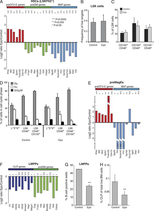 Figure 2. Epo transcriptionally reprograms HSCs and progenitors in vivo toward an erythroid fate. (A) Bar graphs showing the expression of preCFU-E, preGM, and MkP genes in in vivo, comparing Epo-exposed and control LSKFlt3− cells. Data are shown as log2 of the ratio between Epo-exposed and control cells. Values are means, n = 9, from 3 experiments. (B) Bar graphs showing mean size of Lin−Sca-1+c-Kit+ (LSK) population as percentage of live singlets in mice hydrodynamically injected with pCMV6-Epo vector or pCMV6 control vector on day 2 after injection. Values are mean ± SD, n = 5 (control) and 6 (Epo), from 2 experiments. (C) LSK cells from B were subdivided by CD150 and CD48 expression into MPPs (defined as LSKCD48+CD150+ or LSKCD48+CD150−) and primitive HSCs (defined as LSKCD48−CD150+). The proportion of cells in the indicated fractions is shown as a percentage of the total LSK population. Values are mean ± SD. No significant difference (defined as P < 0.05) was observed between control and Epo-treated populations. (D) MPPs (LSKCD48+) and HSCs (LSKCD48−CD150+) from mice hydrodynamically injected with pCMV6-mEpo vector (Epo, n = 3) or pCMV6 vector (control, n = 3) were analyzed on day 2 after injection for cell cycle status by intracellular staining for Ki67 and DNA content. G0 was defined as Ki67−, G1 as Ki67+/2n DNA content, and S/G2/M as Ki67+/>2n DNA content. Lin−Sca-1−c-Kit+ (L−S−K+) progenitors are included as a positive control for high proliferation rate. Values are mean ± SD, n = 3. One of two representative experiments shown. (E) Expression of preCFU-E and MkP genes in in vivo Epo-exposed and control preMegEs. Data are represented as in A. (F) Expression of CLP and preGM genes in in vivo Epo-exposed and control LMPP. Data are represented as in A. (G) B cell potential of single Epo-exposed and control LSKFlt3hi LMPPs cultured on OP9 stromal cells. Representative FACS profiles of analyzed clone derived from a single cell are shown in Fig. S2 A. Values are mean ± SD, n = 48, from 2 experiments. (H) Bar graphs showing the number of CLPs as percentage of total live BM cells from Epo-exposed and control mice. Values are mean ± SD, n = 5. One of two representative experiments shown. *, P < 0.05; **, P < 0.005; ***, P < 0.0005; N.S., not significant.
