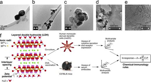Figure 1. Illustrations of typical LDHs and the systems vaccinology approach used in this study. (a–e) Transmission electron micrographs of LiAl2-CO3 (a), Mg2Al-NO3 (b), Mg2Fe-Cl (c), Imject alum (d), and Alhydrogel (e). Size data on the LDHs are in Table S1. (f) A schematic showing the systems vaccinology approach. To the left, the general LDH structure is depicted, showing the positively charged layers (yellow/blue/red circles) and interlayer anions (green circles), with a surrounding layer of water (top and bottom). The in vitro DCs and in vivo antibody responses stimulated by a series of LDHs were evaluated, and the datasets were then independently subjected to multivariate analysis, with the physicochemical properties of LDHs detailed in Table S4. All observed responses were highly correlated with the three key physicochemical properties indicated on the left side and conformed to the equation (Eq. 1) illustrated on the right side. This equation was then used to predict, de novo, the immunological (DC) responses stimulated by newly synthesized LDHs from their respective physicochemical properties.