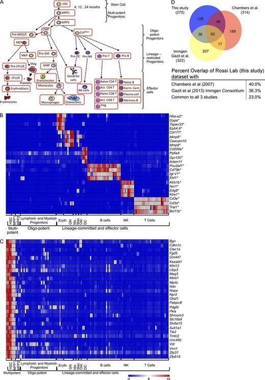 Figure 1. Identification of HSC-specific genes. (A) Schematic representation of the hematopoietic hierarchy showing cell types with expression profiles used in this study framed in red. (B) Heat map showing relative expression (from red, high, to blue, low) of genes identified as cell type specific in the indicated cell types, with asterisks (*) marking genes with well-established roles in the given cell type. (C) Heat map showing relative expression of representative genes identified as HSC-specific (for complete list see Fig. S1). (D) Venn diagram of HSC-enriched gene sets published in Gazit et al. (2013) (2013), Chambers et al. (2007a), and this study. Genes expressed >2.3-fold higher in HSCs relative to downstream populations examined in each study were selected from the current study and also the Chambers et al. (2007a) dataset. Percentage overlap of our HSC-enriched gene set with others is presented on the bottom.