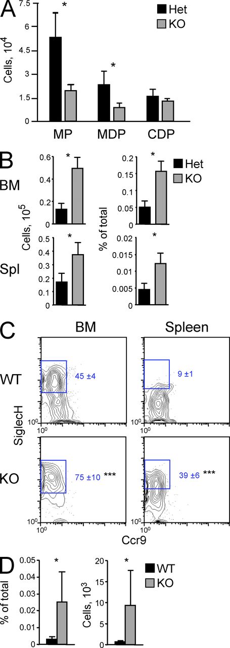 Figure 4. Expansion of SiglecH+ pre-DCs in Mtg16-deficient mice. (A) Early DC progenitors in Mtg16-deficient mice. The BM of heterozygous Mtg16+/− (Het) or KO Mtg16−/− mice carrying the Cx3cr1-GFP reporter was analyzed for the number of the indicated progenitors defined as in Fig. S2 (mean ± SD of five to seven animals pooled from three experiments). MDP, monocyte/DC progenitor. (B) The total pre-DC population in Mtg16-deficient mice. Het or KO mice were analyzed for the fraction and number of Lin− CD11c+ MHC II− Flt3+ Sirpαlo pre-DC population in the BM and spleen (mean ± SD of five to seven animals pooled from three experiments). (C) The SiglecH+ pre-DC subset in the WT and Mtg16−/− KO animals. Shown are representative staining profiles of pre-DCs gated as in Fig. S2, with the fraction of SiglecH+ subset among pre-DCs indicated (mean ± SD of three to five animals pooled from two experiments). (D) The fraction among total cells and absolute number of SiglecH+ pre-DCs in the spleens of WT and KO mice (mean ± SD of three to five animals pooled from two experiments). *, P ≤ 0.05; ***, P ≤ 0.0005.