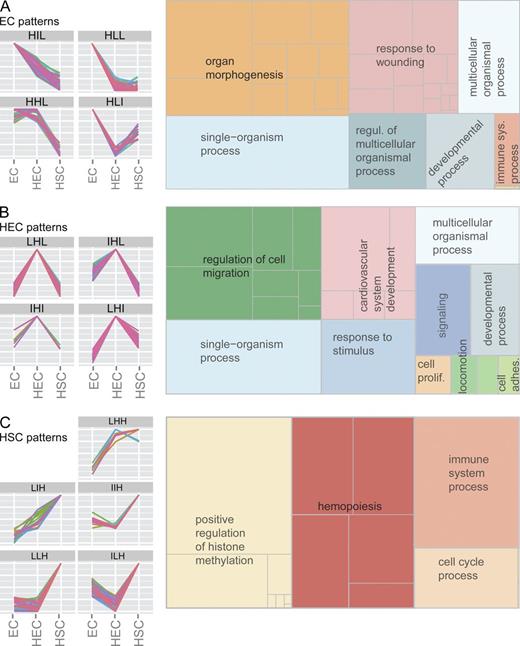 Figure 3. GO terms/processes enriched in EHT subsets. (A) DEG patterns that are EC specific are shown (left): high-intermediate-low (HIL), HHL, HLI, and HLL. GO enrichment analysis was performed using WebGestalt, and enriched GO terms are summarized by REVIGO (right). (B) DEG patterns that are HEC specific are shown (left): LHL, IHL, IHI, and LHI. GO enrichment analysis and GO terms are summarized by REVIGO (right). (C) DEG patterns that are HSC specific are shown (left): LHH, LIH, IIH, LLH, and ILH. GO enrichment and GO terms are summarized by REVIGO. Rectangle size represents the number of DEGs in the accompanying GO term. See Table S3 for enriched ontology terms.