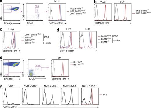 Figure 1. Bcl11b is expressed throughout the ILC2 lineage. (a–f) Bcl11b-tom in cells isolated from Bcl11btom/+ mice, assessed by flow cytometry. (a and b) Bcl11b-tom expression in ILC2s and CD4+ T cells from the MLN (a) and ILC2s from FALC (lin−CD45+KLRG1+) and siLP (lin−CD45+ICOS+KLRG1+; b) of Bcl11b+/+ and Bcl11btom/+ mice. (c and d) Bcl11b-tom expression in ILC2s from lung (c) and MLN (d) of mice with the indicated genotypes after administration of IL-25 or IL-33. (e) Expression of Bcl11b-tom in BM ILC2ps (gated as shown). (f) Bcl11b-tom expression in ILC3 subsets (as indicated) from siLP of Bcl11btom/+ mice (black). Bcl11b-tom expression in ILC2s from siLP is shown for comparison (red). (a–f) Numbers adjacent to boxed areas indicate the relative percentage of gated populations. Gating strategies and phenotypic analysis are presented in Figs. S1 and S2. Data represent at least two independent experiments with three mice per group.