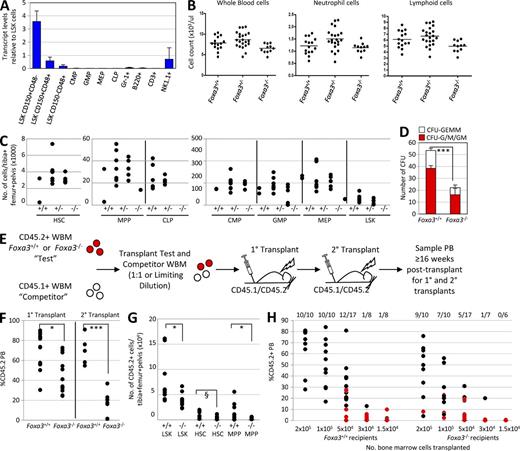 Figure 6. Foxa3 is dispensable for native hematopoiesis but required for HSC repopulating potential. (A) qRT-PCR of Foxa3 transcript. (B) PB counts of Foxa3+/+, Foxa3−/+, and Foxa3−/− littermates. (C) Absolute number of HSPCs in one femur + one tibia + one pelvis of 6–10-wk-old Foxa3−/− (n = 5), Foxa3−/+ (n = 6), and Foxa3+/+ (n = 2) littermates. In B and C, each circle represents an independent mouse. (D) CFU activity of 150 Foxa3−/− (n = 5) or Foxa3+/+ (n = 5) HSCs. Error bars = SD. P = 6.2 × 10−6. (E) Schematic showing Foxa3−/− or Foxa3+/+ HSC strategies. (F) For first degree transplants, CD45.2+ Foxa3−/− or Foxa3+/+ WBM was transplanted with CD45.1+ WBM into ablated CD45.1+/CD45.2+ recipients in a 1:1 ratio. Percentage of CD45.2+ recipient PB at 20 wk after transplant is shown (*, P = 0.03). For 2° transplants, CD45.2+ WBM was isolated from 1° recipients 16 wk after transplant and transplanted into ablated CD45.1+/CD45.2+ mice. %CD45.2+ recipient PB is shown 16 wk after transplant for 2° transplant recipients (***, P = 0.0001). Each circle is an independently transplanted mouse. (G) The LSK, HSC, and MPP compartments of 1° recipients of CD45.2+ Foxa3−/− (n = 12) or Foxa3+/+ (n = 11) cells were examined >16 wk after transplant for the absolute number of CD45.2+ cells (shown as number of cells/one femur + one tibia + one pelvis). Each circle is an independent mouse. P = 0.02, 0.08, and 0.04, respectively. (H) 15,000, 30,000, 50,000, 100,000, or 200,000 CD45.2+ Foxa3−/− or Foxa3+/+ WBM cells were transplanted with CD45.1+ WBM into CD45.1+/CD45.2+ recipients. Recipients were scored as repopulated if their CD45.2+ PB chimerism was >1% in the T cell, B cell, and myeloid cell lineages 10–16 wk after transplant (data are the pooled results of two independently performed limiting dilution transplants). Each circle is an individual recipient (black circles label engrafted mice and red circles label nonengrafted mice). The number of mice engrafted/number of mice transplanted at each cell dose is shown. Significantly fewer repopulating HSCs were detected in Foxa3−/− WBM than Foxa3+/+ WBM (P = 0.0046). χ2 analysis revealed a fit to the limiting dilution model (Table S3). These analyses were performed using L-Calc.