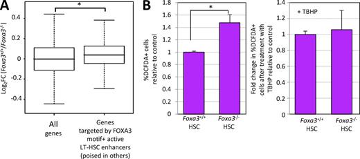 Figure 7. Foxa3 protects HSCs from cellular stress. (A) Genes predicted by IM-PET to be targets of FOXA3 binding motif+ LT-HSC enhancers (Table S5) are significantly more perturbed in expression among genes differentially expressed between Foxa3−/− and Foxa3+/+ HSCs (Table S6). P = 2.6 × 10−29. (B) CD45.2+ LSK CD150+CD48− cells were isolated from first degree recipients of Foxa3+/+ (n = 6) and Foxa3−/− (n = 7) BM and then stained with DCFDA to assess endogenous ROS levels (left) or treated with TBHP before DCFDA staining to induce elevated ROS (right). Values represent the percentage of cells positive for DCFDA in Foxa3−/− cells relative to Foxa3+/+ cells (left) or the relative fold change of DCFDA+ cells in Foxa3−/− versus Foxa3+/+ CD45.2+ LSK CD150+CD48− after TBHP treatment (right). For the left graph, P = 0.001 (*). P-values were calculated via exact Wilcoxon Mann-Whitney test.