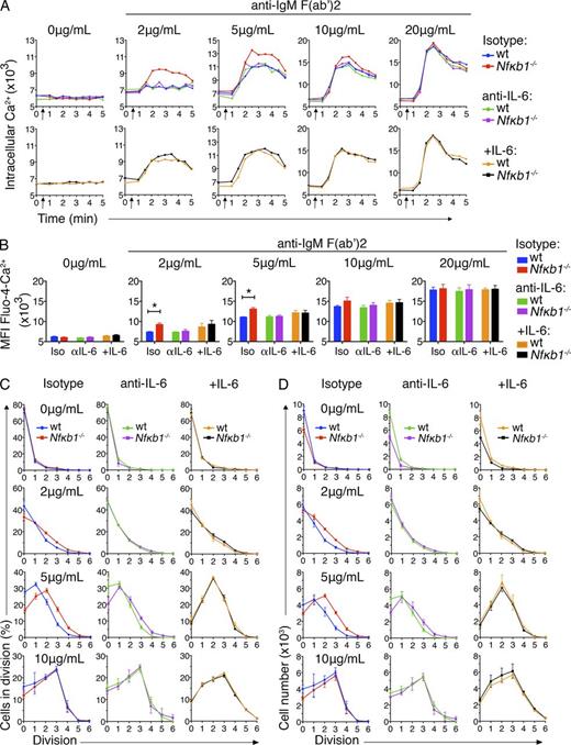 Figure 9. Autocrine IL-6 signaling causes enhanced sensitivity of NFκB1-deficient Fo B cells. Fo B cells were purified from LNs of ly5.1+ WT and Nfκb1−/− mice (6–8 wk), mixed equally (1:1), and cultured in the presence of anti–IL-6 or isotype control Ab (both at 10 µg/ml). For the addition of exogenous IL-6, B cells were precleared of endogenous IL-6 by incubation with 10 µg/ml anti–IL-6 Ab for 1 h and then cultured with 10 ng/ml IL-6. B cell cultures were stimulated with graded concentrations of anti–IgM F(ab’)2 Ab fragments then examined by flow cytometry. (A) Intracellular Ca2+ levels were measured in ly5.1+ WT and Nfκb1−/− Fo B cells as in Fig 8 A; genotypes were defined by ly5 expression. (B) Graphs show the mean fluorescence intensity (MFI) of Fluo-4 Ca2+ in Fo B cells from A (top) 2 min after the addition of the indicated stimuli. (C and D) Percentage of divided (CFSE−) cells (C) and absolute numbers of WT and Nfκb1−/− Fo B cells (D) per cell division peak. WT and Nfκb1−/− Fo B cells were labeled with CFSE and cultured as described in Fig. 8 for 72 h. Cell division was assessed by dilution of CFSE (gating strategies are shown in Fig. S4). Data are from two independent experiments (n = 5 mice/genotype). Graphs in B–D show mean ± SEM. *, P < 0.05, determined by unpaired Student's t tests.