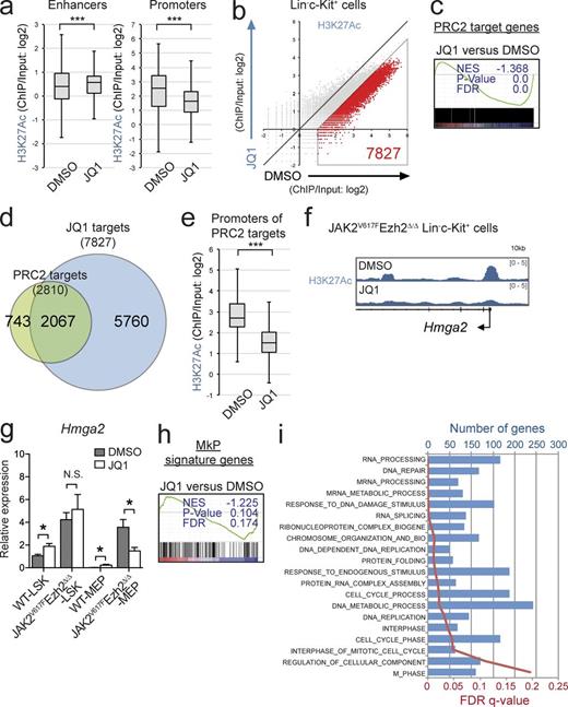 Figure 9. Brd4 inhibition restores de-repression of PRC2 target genes. (a) Fold enrichment (ChIP/input) values of H3K27ac at the enhancer and the promoter regions in JAK2V617F/Ezh2Δ/Δ LK cells 2 wk after the completion of the JQ1 treatment. (b) A scatter plot showing the relationship of fold enrichment (ChIP/input) values of H3K27ac (TSS ± 2.0 kb of RefSeq genes) between DMSO- and JQ1-treated JAK2V617F/Ezh2Δ/Δ LK cells (the light diagonal line represents the borderlines for twofold changes in H3K27ac levels). (c) GSEA plot for the canonical PRC2 targets defined in Fig. 7 b comparing LSKs in JQ1-treated with DMSO-treated JAK2V617F/Ezh2Δ/Δ mice. (d) Venn diagrams showing overlaps between PRC2 target genes and JQ1 target genes, which were defined in b and are shown in Table S1. (e) Fold enrichment (ChIP/input) values of H3K27ac at the promoter regions of the canonical PRC2 target genes (defined in Fig. 7 b) in JAK2V617F/Ezh2Δ/Δ LK cells 2 wk after the completion of the JQ1 treatment. (f) ChIP-seq view of H3K27ac levels at the promoter region of Hmga2 in JQ1-treated or nontreated JAK2V617F/Ezh2Δ/Δ LK cells. (g) qRT-PCR analysis of the expression of Hmga2 in LSKs and MEPs isolated from DMSO-treated or JQ1-treated WT mice (n = 3) and JAK2V617F/Ezh2Δ/Δ mice (n = 3) 2 wk after the completion of the treatment. (h) GSEA plot for the MkPs signature genes described in Fig. 6 g comparing LSK cells from JQ1-treated and DMSO-treated JAK2V617F/Ezh2Δ/Δ mice. (i) GO biological process gene sets that were enriched more in JQ-treated LSK cells than in DMSO-treated LSK cells as determined by GSEA (gene sizes and FDR q-values are shown in the top and bottom x axes). (a and e) Boxes and whiskers show the mean and minimum to maximum. The asterisks show ***, P < 0.001 by the Student’s t test. (c, h, and i) The normalized enrichment score (NES), nominal p-value, and false discovery rate (FDR) q-value are indicated. (a–f, h, and i) Experiments used cells from two individual mice per group. (g) Bars and asterisks show the mean ± SEM and *, P < 0.05 by the Student’s t test; two independent experiments.