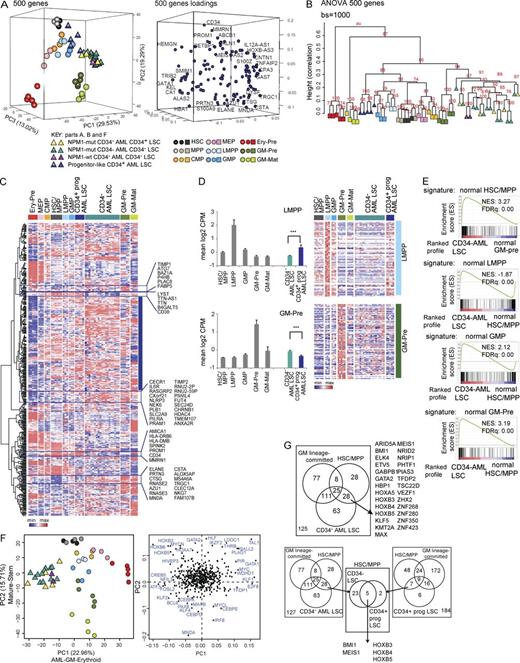 Figure 5. GM-pre are the closest normal counterparts to CD34− AML LSCs by gene expression and disorganized transcriptional landscape. (A, left) Three-dimensional PCA separating normal HSPC/precursor/mature and CD34+ AML and CD34− AML LSC populations using the ANOVA 500 gene set (adjusted p-value ≤1.79 × 10−28; Table S4 B). The percentage of variance for each component is indicated. The relationship between NPM1-mutated (mut) CD34+ and CD34− LSCs and NPM1 wild-type (wt) CD34− LSCs (all in CD34− AML) is indicated. (Right) The loadings plot annotated with a selection of most variant genes is shown. (B) Bootstrap hierarchical clustering of normal and LSC populations using the same ANOVA 500 gene set using 1,000 bootstrap (bs) permutations. (C) Heat map showing hierarchical clustering of ANOVA 500 genes and their expression by normal BM HSPC/precursor/mature, CD34+ AML, and CD34− AML LSC populations. Expression values are normalized per gene (by row) and are shown as a minimum–maximum scale (color bar). The blue block indicates genes with a scattered expression profile across normal, multiple normal, and LSC populations. The open rectangles highlight clusters of genes, with their gene names, which show preferential expression in GM-pre, GM-mat, and CD34− AML LSC populations and HSPC and CD34+ progenitor LSC populations. (D, right) Expression of the top 75 differentially expressed genes (rows = genes) in normal LMPPs and GM-pre populations in normal populations, CD34− AML, and CD34+ AML progenitor-like LSCs (indicated by colored horizontal bars; each column represents a different normal or LSC sample). Expression values are normalized per gene (by row) and are shown as a minimum–maximum scale (color bar). (Left) Mean expression of all 75 genes in each normal and LSC population. Triple asterisks indicate highly significant differences in mean expression of 75 genes between CD34− AML and CD34+ progenitor-like AML (P < 0.001, corrected for multiple testing) in a test of 105 permutations of 75 randomly selected genes (of 16,284 expressed genes). Error bars represent SD. (E) GSEA of normal BM HSC/MPP, LMPP, GMP, and GM-pre signatures in preranked profiles (based on mean fold change), comparing CD34− LSCs with normal GM-pre and CD34− LSCs with normal HSCs/MPPs (all others). Normalized enrichment scores (NES) and FDR q-values (FDRq) are shown. All comparisons were statistically significant. (F) PCA using a curated list of 547 TFs adapted from Novershtern et al., 2011, showing the position of normal and CD34− AML LSC populations, with the associated loading plot. (G, top) Venn diagram of the overlap in differentially up-regulated genes encoding TFs in normal HSCs/MPPs, GM lineage–committed populations (GMP, GM-pre, and GM-mat), and CD34− AML LSCs. 28 TFs (of which 27 have HGNC annotation) are up-regulated in both HSCs/MPPs and CD34− AML LSCs and are indicated. (Bottom) Combined analysis of the top Venn diagram with overlap in differentially up-regulated genes encoding TFs in normal HSCs/MPPs, GM lineage–committed populations, and CD34+ progenitor AML LSCs. Seven TFs are coexpressed in CD34+ progenitor AML LSCs and HSCs/MPPs. Of these, five (shown) are also expressed in CD34− AML LSCs. CMP, common myeloid progenitor; Ery-Pre, erythroid precursor; MEP, megakaryocyte-erythroid progenitor; prog, progenitor.