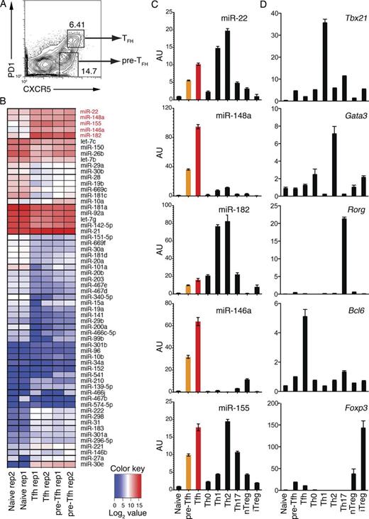 Figure 1. Deep sequencing analysis of miRNA expression profiles of Tfh cells. (A) FACS sorting strategy to purify CXCR5intPD1lo pre-Tfh and CXCR5hiPD1hi Tfh cells. WT C57BL/6 mice were immunized with OVA/alum/LPS, and cell subsets were sorted from splenocytes on day 7 after immunization. (B) Heat map of miRNA signatures for naive CD4+ T (CD44−CXCR5−PD1−), pre-Tfh, and Tfh cells. The color scale represents the log2 value of miRNA read counts in tags per million. The Tfh cell signature miRNAs are marked in red. See details in Table S1. (C and D) Quantitative RT-PCR analysis of individual miRNAs (C) and transcription factors (D) in naive CD4+ T, pre-Tfh, Tfh, and in vitro generated Th cell subsets and natural T reg (nTreg) cells. AU, arbitrary units. Error bars represent SD. Data are one representative result of two independent experiments and triplicate for each RT-PCR reaction.