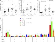 Figure 4. Nucleoside-modified Env mRNA-LNPs elicit antigen-specific CD8+ T cell responses. Mice received two i.d. injections of Luc or Env m1Ψ-mRNA-LNPs. (A–C) Percentages of CD8+ T cells producing IFN-γ (A), TNF-α (B), and CD107a (C) were analyzed. (D) Frequencies of combinations of cytokines and degranulation marker produced by CD8+ T cells. Splenocytes were stimulated with Env peptides, and cytokine production by CD8+ T cells was assessed by flow cytometry. n = 5–8 mice, and each symbol represents one animal. Error bars are SEM. Statistical analysis: (A–C) one-way ANOVA with Bonferroni correction, *, P < 0.05; (D) Student’s t test, *, P < 0.05 compared with Luc mRNA–immunized mice.
