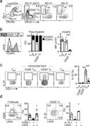 Figure 1. Identification of IL-10–producing CD25+ FOXP3− human TF cells in human tonsils. (a) Flow cytometric plots showing gating strategy to identify the indicated populations. (b) Flow cytometric plots and quantification (n = 8) showing percentage of FOXP3+ cells and FOXP3 mean fluorescence intensity (MFI) within the indicated subset according to panel a. Data are representative of 10 independent experiments. (c) Flow cytometric plots and quantification of PMA/ionomycin-stimulated tonsillar cell suspensions showing IL-10 expression in the indicated subset (n = 9). Data are representative of 10 experiments. (d) Flow cytometric plots and quantification showing LAG3 and CD25 expression in total TF cells (n = 14; left), and IL-10 and LAG3 in CD25+ TF cells (n = 5; right). Data are representative of five independent experiments. In all graphs, bars represent medians, and each dot represents a single tonsil donor. ****, P ≤ 0.0001, nonparametric Mann–Whitney U test.