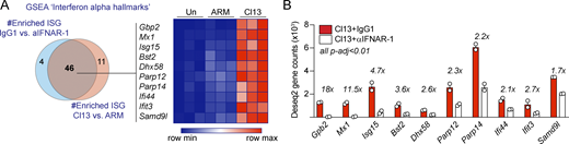 Antibody-mediated blockade of IFNAR-1 reduces IFN signaling in IECs after LCMV Cl13 infection. C57BL/6 mice were infected with LCMV ARM or Cl13 or left uninfected (Un; A) or injected with isotype (IgG1) or anti-IFNAR-1 Ab (αIFNAR) i.p. (A and B), and RNA-sequencing analysis was performed on FACS-purified IECs at day 9 p.i. (A) Venn diagram (left) shows overlapping GSEA results from the “interferon α hallmarks” gene signature between IEC from Cl13- versus ARM-infected mice and IECs from IgG1- versus anti-IFNAR-1–treated Cl13-infected mice. 10 highly enriched and overlapping ISGs (i.e., highest rank metric scores, FDR < 0.1) were selected for the heatmap (right) depicting Z-scores computed from DESeq2 normalized counts (Table S2, Table S5, and Table S7). (B) Fold reduction in the expression of selected ISG in IECs from IgG1-treated versus anti-IFNAR-1–treated Cl13-infected mice is shown. Averages ± SEM are shown. FDR-adjusted P values (p-adj) were computed by DESeq2. Refer to the image caption for details.
