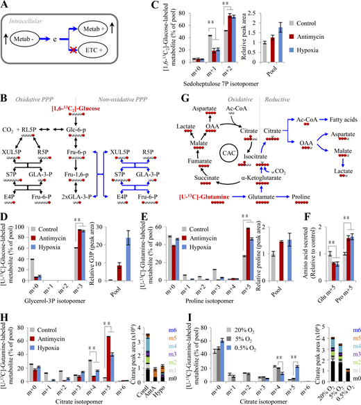 Figure 2. Refer to the image caption for details.