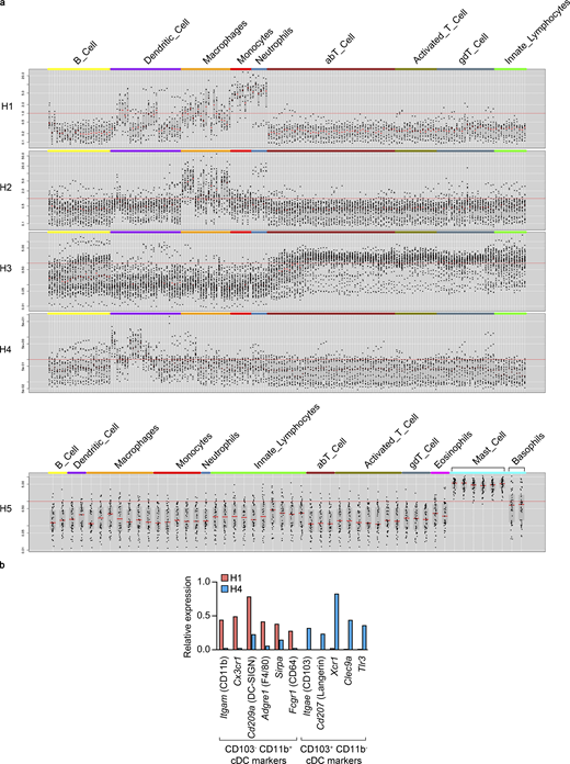 Classification of choroidal hematopoietic cell subclusters.(a) Gene lists from Data S1 m were analyzed at the Immunological Genome Project website (http://www.immgen.org) using My GeneSet function (V1 datasets for subclusters H1-4, V2 datasets for subcluster H5). (b) Expression of CD103− CD11b+ and CD103+ CD11b− cDC markers (based on Merad et al., 2013) by H1 and H4 subclusters. Average normalized UMIs for each gene and subcluster were extracted from Data S1 l.