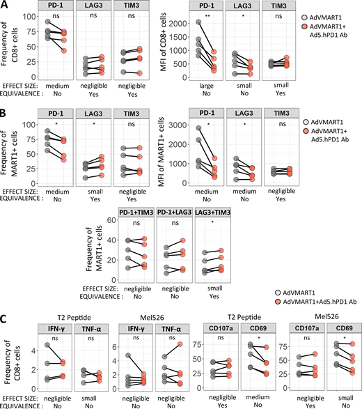 Effect of stimulating CD8 T cells with DCs transduced with AdVMART1 and Ad5.hPD1Ab in vitro on T cell function. T cells were stimulated with AdVMART1 transduced autologous DCs in vitro followed by restimulation with DCs transduced with AdVMART1 only (gray circles) or in combination with Ad5.hPD1Ab (orange circles). (A and B) Summary graphs showing frequency and mean fluorescence intensity (MFI) of checkpoint molecules CTLA-4, LAG3, PD-1, and TIM3 in CD8 T cells (A) or MART127–35+ CD8 T cells (B). (C) T cells were stimulated with MART127–35+–pulsed T2 or Mel526 and examined for TNF-α, IFN-γ CD107a, and CD69 expression. n = 5; P values shown were calculated using paired t tests. Effect sizes are summarized using Hedges’ g as follows: g < 0.2 (negligible), g < 0.5 (small), g < 0.8 (medium), and g > 0.8 (large). A detailed list of effect sizes, confidence intervals, and equivalence testing results for these data are provided in Table S2. (A–C) *, P ≤ 0.05; **, P ≤ 0.01. ns, not significant.