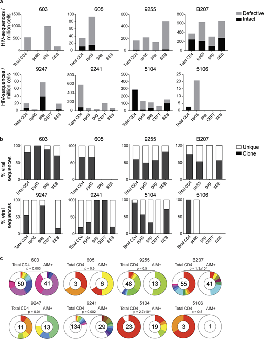 Defective and intact proviral analysis from antigen-responsive cells.(a) Frequency of intact (black) and defective (gray) viruses characterized by Q4PCR per million AIM+ CD4+ T cells from eight donors. (b) Frequency of virus sequences identified only once (unique) or more than once (clonal) across baseline and all sorted populations from each donor. (c) Clonal distribution of Q4PCR-derived HIV-1 sequences from total CD4+ T cells (MOG control) and all antigen-reactive AIM+ CD4+ T cells combined, from eight donors. Numbers in the inner circles indicate the total number of HIV-1 sequences analyzed. White represents sequences identified only once across all conditions (unique), and colored slices represent sequences identified more than once (clones) across baseline and all sorted populations from each donor. The size of each pie slice is proportional to the size of the clone. P values denote a significant change in overall clonal distribution using a two-sided Fisher’s exact test. Total DNA extracted from sorted populations was diluted across individual PCR reactions (ranging from 384 to 6,144 reactions) based on gag dilution (see Table S3).