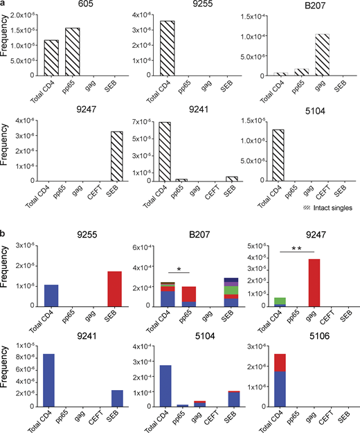 Intact proviral analysis from antigen-responsive cells.(a) Frequency of unique intact proviruses isolated from AIM+ cells. (b) Frequency of clonal intact proviruses isolated from AIM+ cells. Each color represents a unique clone. In each donor, clones identified in more than one fraction of cells are represented by the same color. Asterisks denote a significant change in overall clonal distribution (*, P ≤ 0.05; **, P ≤ 0.01, two-sided Fisher’s exact test). Total DNA extracted from sorted populations was diluted across individual PCR reactions (ranging from 384 to 6,144 reactions) based on gag dilution (see Table S3).