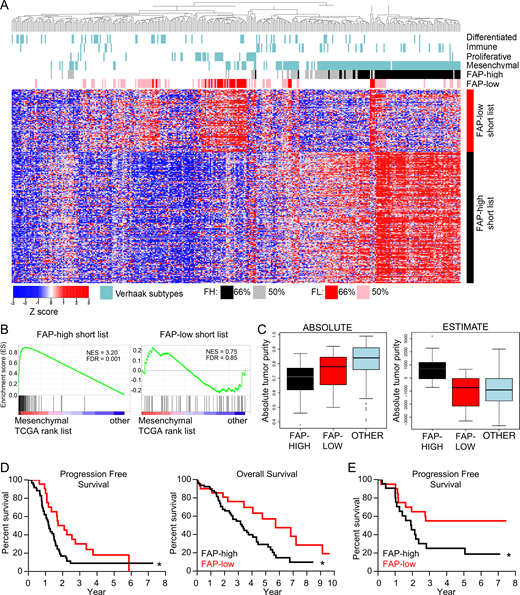 FAP-high patients correspond to the mesenchymal molecular subtype and have worse clinical outcomes than FAP-low patients. (A) Heatmap of TCGA HGSOC data showing unsupervised clustering of patients using the FAP-high (FH) and FAP-low (FL) specific CAF gene lists. The TCGA molecular subtypes (Verhaak et al., 2013) are shown above the heatmap in blue. Patients expressing either 75% or 50% of the FAP-high signature genes are indicated in black and gray, respectively. Patients expressing either 75% or 50% of the FAP-low signature genes are indicated in red and pink, respectively. (B) GSEA comparing the FAP-high (left) and FAP-low (right) gene lists to the genes expressed in TCGA mesenchymal subtype. (C) The ABSOLUTE (left) and ESTIMATE (right) algorithms were applied to patients falling into the FAP-high (black), FAP-low (red), and “other” (blue) categories of patients selected using the more stringent 75% cutoff. (D) Kaplan–Meier survival curves of patients falling into the FAP-high (n = 80) and FAP-low (n = 30) groups (based on the 75% cutoff). Median progression-free survival was 1.2 yr for FAP-high and 2.1 yr for FAP-low patients; log-rank P value = 0.0204; hazard ratio (HR) = 1.89; 95% confidence interval (CI), 1.11–2.97. Median overall survival was 3.3 yr for FAP-high and 5.7 yr for FAP-low patients; log-rank P value = 0.0236, HR (95% CI) = 1.95 (1.11–3.24). (E) Kaplan–Meier progression-free survival curve of patients from our center that were profiled by FC for the proportion of CD49e+ CAFs that were positive for FAP staining. Patients were separated into FAP-high and FAP-low based on the median FAP expression. Log-rank P value = 0.041, HR (95% CI) = 2.28 (1.04–5.05). See Table S1 B for recurrence data.