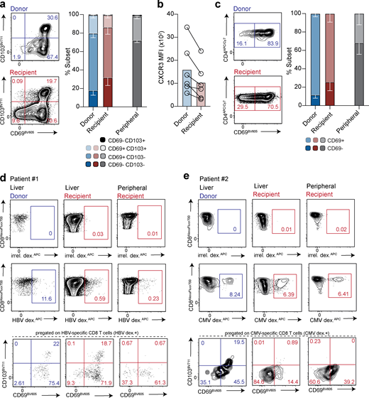 Characterization of long-lived TRM and their replenishment from the recipient-derived leukocyte pool. (a) Summary data and representative flow-cytometric plots of CD69+CD103+/− CD8+ TRM within the donor-derived (blue) and recipient-derived (red) population (gated on live, singlet, CD45+CD3+CD56−CD19−CD4−; n = 6; six independent experiments) compared with peripheral blood taken at time of allograft removal (peripheral; n = 5; five independent experiments), using the gating strategy and HLA-class I antibody stain exemplified in Fig. S1, a and b. (b) CXCR3 expression (MFI; n = 6) on donor- and recipient-derived CD69+CD103+ CD8+ TRM cells. (c) Summary data and representative flow-cytometric plots of CD4+ TRM within the donor- and recipient-derived leukocytes (gated on live, singlet, CD45+CD3+CD56−CD19−CD8−; n = 6; six independent experiments) compared with peripheral blood taken at time of allograft removal (peripheral; n = 5; five independent experiments). (d and e) Identification and assessment of retention signals CD69 and CD103 on peripheral and intrahepatic CD8+ T cells specific for (d) HBV in a case of reactivated HBV infection within the allograft (further details in Table S1), or (e) CMV in a separate donor. Cells were stained with a panel of immunodominant epitope-based HLA-A*02-HBV or HLA-A*02-NLV peptide dextramers, and gated using an HLA-A*02 irrelevant peptide dextramer (irrel. dex.). Error bars, mean ± SEM. Refer to the image caption for details.