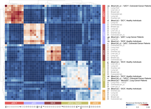 Tumor-infiltrating cDC1, cDC2, cDC2/MoDC, and pDC states resemble circulating DC states in peripheral blood of cancer patients and healthy individuals, whereas the tumor-infiltrating DC3 state does not. Heatmap showing a reciprocal similarity score r for each tumor-infiltrating and blood DC state. This score was calculated using the probability estimates returned by the Linear Support Vector Machine classifier on log-transformed data. The DC populations numbered 1 to 36 refer to previously published states, which are referenced in Table S1. The blood DC states lettered ee to nn also refer to previously published states, which are also referenced in Table S1. Five conserved DC states are identified as follows: cDC1 (red), cDC2 (orange), cDC2/MoDC (orange-green striped), DC3 (dark red), and pDC (violet). Refer to the image caption for details.