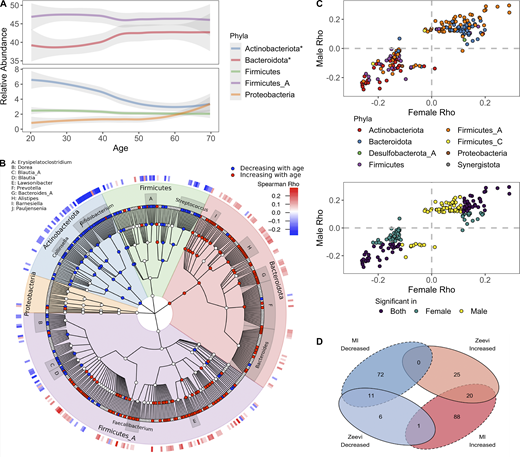 Bacterial profiles are dynamic across decades of life.(A) Abundance of the five most abundant phyla across decades of life. Curves show 95% confidence intervals and were modeled with LOESS regression. Stars in the figure legend indicate those phyla statistically associated with age. (B) GraPhlAn taxonomic tree of the 454 species in the top five phyla found at significant prevalence and abundance across all donors. Relative abundance of taxa in red were decreased with age, while those in blue increased. Association between taxa relative abundance and age was determined by Spearman correlation (FDR < 0.05). The heatmap on the outer ring indicates the strength of the correlation (Spearman ρ). Genera with at least four species associated with age are labeled. (C) Scatter plots compare the Spearman ρ values of bacteria ~ age for males and females, one point = one species. In the bottom plot, points are colored based on whether the correlation was significant (FDR < 0.05) in males, females, or both. In the top plot, points are colored based on the phyla designation of the species. (D) Venn diagram comparing the bacterial species statistically (FDR < 0.05) associated with age in the MI and Zeevi et al. (2015) cohorts. See also Data S1, tables 12 and 13.