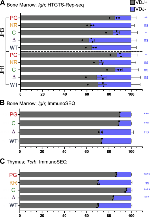 Frequency of productive and nonproductive VDJH and VDJβ rearrangements.(A and B) Frequency of productive (VDJ+) and nonproductive (VDJ−) recombination events at Igh in bone marrow with JH1 or JH3 using HTGTS–Rep-seq data (A) and using ImmunoSEQ data (B). Number of recombination events analyzed can be found in Table S4, Table S5, Table S6, and Table S7. The frequency of VDJ+ alleles in mature B cells is predicted to be ∼71% and was measured to be 73% in splenic B cells (Lin et al., 2016). (C) Frequency of VDJ+ and VDJ− recombination events in thymus using ImmunoSEQ data. Data are presented as mean with error bars indicating SEM. Number of recombination events analyzed can be found in Table S8. Statistical significance relative to WT determined by two-tailed unpaired t tests (ns, P > 0.05; *, P ≤ 0.05; **, P ≤ 0.01; ***, P ≤ 0.001; ****, P ≤ 0.0001). Refer to the image caption for details.