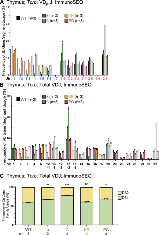 Jβ, Vβ, and Dβ gene segment usage in VDJβ recombination events in thymocytes assessed using ImmunoSEQ.(A) Frequency of Jβ gene segment usage in VDJ recombination events containing Dβ1 in CD4+CD8+CD3εlo thymic T cells. (B) Frequency of Vβ gene segment usage in total VDJ recombination events in CD4+CD8+CD3εlo thymic T cells. Repertoires were analyzed in mice of 5–7 wk of age. n represents number of mice analyzed per genotype. (C) Frequency of Dβ1 and Dβ2 gene segment usage in total VDJβ recombination events. Each dot indicates data from an independent mouse, with data presented as mean ± SEM. Number of recombination events analyzed can be found in Table S8. Statistical significance determined by two-tailed unpaired t tests (ns, P > 0.05; **, P ≤ 0.01; ***, P ≤ 0.001). Refer to the image caption for details.