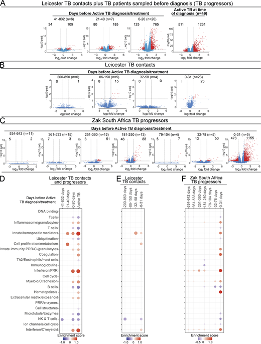 Blood signature reveals differential gene expression changes over time in patients before TB diagnosis. Volcano plots of DEGs in blood at detailed time points for TB progressors compared with healthy controls. (A) Leicester cohorts including TB contacts who progressed to active TB (Table S1, top; n = 12 contacts; 21 samples) and individuals sampled before active TB diagnosis (Table S1, bottom; progressors, n = 11; 12 samples) at indicated time points before diagnosis; active TB patients at time of diagnosis (n = 49; healthy matched controls n = 38 samples). (B) Leicester TB household contacts only who progressed to active TB (Table S3; n = 14 contacts; 38 samples) at indicated time points before diagnosis. (C) Zak TB progressors (Zak et al., 2016) at indicated detailed time points before diagnosis (n = 65 samples) compared with matched LTBI controls. Numbers of DEGs (down-modulated, right; up-modulated, left; x axis log2 fold change of patients compared with controls; y axis −log10 of adjusted P value, Benjamini–Hochberg; abs(log2 fold change) >1 and adjusted P value (padj) <0.05 were considered statistically significantly differentially expressed genes, red dots. n= in parentheses in A–C represents number of samples per time point. (D–F) Modular transcriptional analysis of human blood TB modules in TB progressors at time points before diagnosis as in A–C, against controls. (D) Leicester contacts together with active TB patients before TB diagnosis, and active TB patients at time of diagnosis (far right; modules with fold enrichment scores FDR P value <0.05 are considered significant). (E) Leicester TB contacts only who progressed to active TB. (F) Zak TB progressors (red and blue indicate modules over- or under-abundant compared with the controls; color intensity and size of dots represent degree of perturbation; module name indicates biological processes associated with modular genes. (E and F) Modular analysis was performed similarly but using a nominal P value of 0.05. Th2, T helper cell.