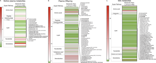 Metabolic profiles of mothers and offspring plasma and neonates ingested milk. Heatmap of differentially expressed metabolites. The row displays metabolites that achieved statistical significance (P ≤ 0.05), and fold change between LJ and PBS groups is presented. Metabolites significantly decreased were displayed in green, while metabolites significantly increased were displayed in red. The brightness of each color corresponded to the magnitude of the difference when compared with average value. (A) Differentially expressed metabolites in the plasma of supplemented females. (B) Differentially expressed metabolites in the plasma of offspring. (C) Differentially expressed metabolites in the milk of supplemented females. Each experiment analyzed four samples per group.