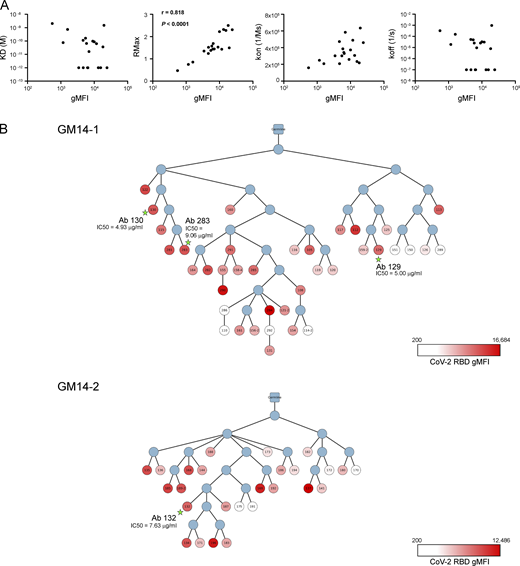 Figure S4. Refer to the image caption for details.