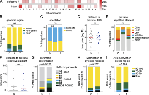 Genomic features of defective (D), intact (I), and total (T) integration sites in ART-treated individuals. (A) Upper heat map depicts proportion of HIV-1 defective integration sites in each chromosome; bottom heat map depicts proportion of HIV-1 intact integration sites in each chromosome (see Table S2). (B) Proportion of integrations in introns, exons, or nongenic regions. (C) Proportion of proviruses integrated in opposite or the same direction as host gene transcription. (D) Distance, in base pairs, of integration from nearest TSS. (E) Proportion of integrations in different repetitive elements classified by University of California, Santa Cruz RepeatMasker (Jurka, 2000). (F) Distance, in base pairs, of integrations from nearest repetitive element. (G) Proportion of intact and defective proviral sequences mapped within chromatin structural compartments A and B and their respective sub-compartments as determined by Hi-C sequencing data (see Table S2; Rao et al., 2014). P value refers to proportion of integrations in compartment A as determined by two-proportion Z-test. (H) Methylation 1,000 bp upstream of HIV-1 proviral promoter integration site in CD4+ T cells (Komaki et al., 2018). Proportion of intact and defective proviral integrations with average number of cytosine residues with indicated levels of methylation. (I) Proportion of intact and defective proviral integrations with indicated methylation levels for all residues. P values determined by two-tailed Fisher’s exact test. Avg, average; LINE, long interspersed nuclear element; SINE, short interspersed nuclear element.