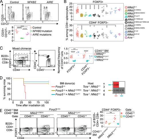 Quantitative and functional T reg cell deficiencies conferred by p100 degron mutations. (A) Plots show CD25/CD127 phenotypes of human peripheral blood CD19− CD4+ CD8− cells, with a graph showing the CD25+ CD127− T reg cell frequency from healthy control subjects or patients with mutations in NFKB2 or AIRE (see Table S1 for details). (B) Frequencies of Foxp3+ and CD44hi Foxp3− cells among CD4+ splenocytes in mice of the indicated genotypes. Age of mice did not differ significantly between groups (mean ± SD, 119 ± 48 d; range, 51–219 d). (C) From mixed chimeras (described in Fig. 3 H) harboring WT CD451/2 BM and WT, Nfkb2+/Lym1, or Nfkb2xdr/xdr CD452/2 BM; plots show the gates used to resolve three subsets of B220− CD4+ CD8− splenocytes based on CD44/Foxp3 phenotype. The graph shows the frequency of CD452/2 cells in the subsets indicated on the x axis, divided by the frequency of CD452/2 cells among CD44lo Foxp3− cells in the same sample. (D) Survival curves of Tcra−/− Nfkb2+/+ female mice after irradiation at 62–90 d of age followed by reconstitution with CD451/2Foxp3−/y BM alone or mixed 1:1 with CD451/1Nfkb2+/D865G BM or CD451/1Nfkb2+/Lym1 BM (see key, middle). All BM donors were male. Grid (right) shows the P values of log-rank tests comparing each pair of experimental groups. (E) For the chimeras described in D at 106 d after transplantation, plots show the gates used to determine the frequency of Foxp3+ and CD44+ Foxp3− cells among the CD451/2 and CD451/1 subsets of B220− CD4+ CD8− splenocytes, enumerated for multiple mice in the graph (right). Unless otherwise stated, graphs show data from female and male mice compiled from 1 (D and E), 3 (C), 5 (A), or 11 (B) separate experiments. Statistical comparisons used one-way (A and B) or two-way (C and E) ANOVA with Sidak’s multiple comparisons tests; *, P < 0.05; **, P < 0.01; ****, P < 0.0001.