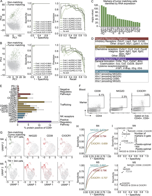 Cell surface marker panels can enrich TM cells from blood.(A and B) Logistic regression showing classification of cells as TM or non-TM based on (A) all genes and (B) a selected list enriched for surface-marker genes (Chihara et al., 2018). Shown are the first two principal component projections (left), ROC curves (middle), and the recall–precision plots (right) with fivefold cross validation. (C) Top 20 surface markers by q value for identifying TM cells in the blood using COMET. Significance using an XL-minimal hypergeometric test with multiple hypothesis test corrections. Full list in Table S4. (A–C) scRNAseq integrated from three biological replicates (M1–3) from two experiments. (D) Biological functions for positive markers (q value ≤ 0.01) identified using COMET for TM cells. NK, natural killer. (E) Frequency protein+ of CD8+ T cells in the blood of mice with MC38 tumors at day 21 (n = 9 mice) by flow cytometry. Gated on singlets, live, CD45+, CD8α+. Representative of two to four independent experiments depending on the marker, each with n = 5–9 mice. Bars show the mean, and error bars represent SD. NK, natural killer. (F) FACS plots showing CD39, NKG2D, and CX3CR1 (y axis) as indicated above each plot, and CD44 (x axis) on CD8+ T cells in the blood of mice in E. (G) UMAP visualization of mice from the validation cohort, two biological replicates, mouse 4 (M4), and mouse 5 (M5). Far left shows cells colored by matching status (green, TM; gray, non-TM). The three UMAPs to the right show cells colored by protein (NKG2D, CD39, and CX3CR1) using CITE seq (red, positive; gray, negative). Significance: CD39, P = 3.87 × 10−54 and P = 7.53 × 10−71; NKG2D, P = 3.19 × 10−122 and P = 1.93 × 10−175; CX3CR1, P = 9.22 × 10−17 and P = 2.08 × 10−30 for M4 and M5, respectively, assessed using Wilcoxon rank sum test. (H) ROC curves showing the sensitivity and specificity of each protein at identifying TM cells. (I) Sensitivity and specificity for proteins in identifying TM cells as single markers or two- and three-protein combinations, colored black if they are pareto-optimal (no other gate with strictly better sensitivity and specificity) and gray if not pareto-optimal. The “&” indicates an “and” gate, and the “|” indicates an “or” gate. Full list of values in Table S5. (G–I) Two biological replicates from the validation cohort (one experiment). Refer to the image caption for details.