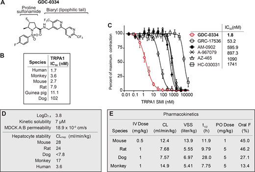 In vitro and in vivo binding properties of GDC-0334 are consistent with a potent, specific, and orally bioavailable TRPA1 inhibitor.(A) Structure of GDC-0334. (B) Cross-species TRPA1 potencies of GDC-0334 as measured in CHO cell line–based fluorometric imaging plate reader Ca2+ assays. (C) Inhibitory dose–response curves of TRPA1 antagonists (Table S1 B) on HASMC contraction assay. (D) Physicochemical and in vitro ADME properties of GDC-0334. (E) Cross-species IV/oral (PO) PK parameters of GDC-0334. CL, clearance; CLhep, hepatic clearance of drug; IV, intravenous; VSS, volume of distribution; F, bioavailability.