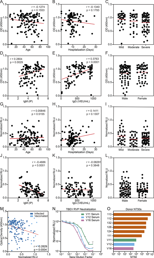 Clinical correlations and serum neutralization in vaccinees. (A–F) Serum TBEV EDIII ELISA data (IgG) from Fig. 1 B plotted against demographic and available clinical information. (G–L) Serum TBEV RVP neutralization data from Fig. 1 C plotted against demographic and available clinical information. A and G show age (no significance), B and H show length of hospitalization (no significance), C and I show severity of disease (no significant differences), D and J show IgM titers (IP) measured at the time of hospitalization (P = 0.0029 and P < 0.0001, respectively); E and K show IgG titers (Vienna units/ml) measured at the time of hospitalization (P < 0.0001 and no significance, respectively), and F and L show patient gender (no significant differences). Statistical significance was calculated for A, B, D, E, G, H, J, and K using two-tailed Spearman's tests; for L and F using Mann–Whitney tests; and for C and I using one-way ANOVA with Tukey’s test. (M) Correlation between serum TBEV EDIII ELISA (IgG) and RVP neutralization data. (N) TBEV RVP neutralization curves with sera from vaccinated PBMC donors. Representative of two experiments, each performed in triplicate. Data are presented as mean with standard deviation. (O) Summary of serum NT50s for all infected and vaccinated PBMC donors. Related to Fig. 1 and Table S1. RLU, relative light units.