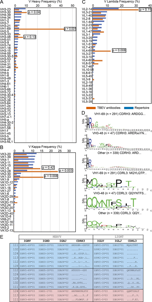 Antibody V gene frequency and CDR3 sequences. (A) Bar graph showing the frequency of V heavy gene usage in TBEV antibodies from infected donors compared with human repertoire (Rubelt et al., 2012). (B and C) As in A, but for V kappa and V lambda genes. In A–C, orange indicates anti-TBEV antibodies isolated in this study, while blue indicates control repertoire; P values were calculated using a two-tailed t test with unequal variances. (D) Sequence logos for antibody CDR3s from infected donors generated by WebLogo. The height of the stack indicates the sequence conservation at a given position, while the height of letters within the stack indicates the relative frequency of each amino acid at that position. (E) Examples of highly similar antibody sequences found in multiple donors. Related to Fig. 2, Table S2, and Table S3.