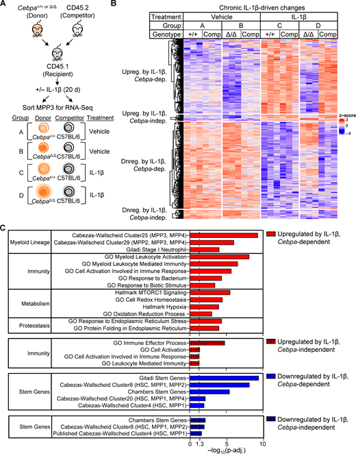 Figure 5. Refer to the image caption for details.