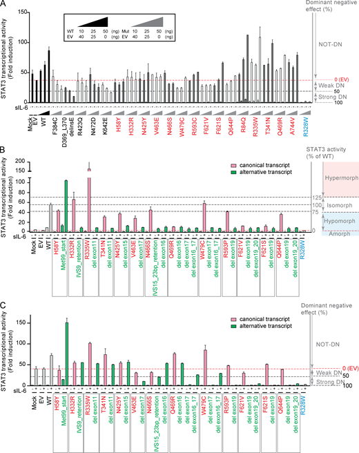 Analysis for 20 STAT3 variants identified as not DN in the first luciferase assay. (A) Dose-dependent mechanism of dominance for 20 STAT3 variants. Luciferase assay on HEK293T cells, which have endogenous STAT3, transfected with various amounts of WT plasmid or one of the 20 STAT3 variant plasmids corresponding to variants identified as not DN in Fig. 5 B (both not-DN and weak-DN variants were assigned to this category here). The red dashed line represents stimulated activity in EV-transformed cells, and the black dashed line represents 50% this level of activity. Five variants displayed dose-dependent negative dominance, with a strong or weak DN effect (F384C, D369_L370delinsE, R423Q, N472D, and K642E). The remaining 15 variants (in red) had no DN effect. (B and C) 13 of the 15 variants tested generated alternative transcripts (Table S5). Luciferase assay on STAT3−/− A4 cells (B) or HEK293T cells (C) transfected with the canonical transcript (pink bar) or alternative transcripts (green bar) were performed to measure STAT3 transcriptional activity. Each experiment (A–C) was independently performed twice. Error bars represent the means with SEM. Refer to the image caption for details.
