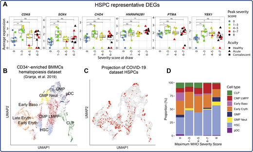 Myeloid skewing of circulating HSPCs and other hematopoietic abnormalities in COVID-19. (A) Box plots of average expression of selected HSPC DEGs (see Table S21). (B and C) UMAP projection of Seurat v4–annotated HSPCs from scRNA-seq dataset into a publicly available blood and bone marrow hematopoiesis dataset (Granja et al., 2019) colored by published cell type annotations (B) and with projected HSPCs colored in red (C). (D) Bar plot depicting proportions of cell type identities transferred after projection into the publicly available hematopoiesis dataset for each peak disease severity score bin. For all box plots, points are colored by the peak disease severity score, shaped according to disease acuity, and grouped by the disease severity score at the time of sample collection. *, P < 0.05; **, P < 0.01; ns, not significant at P = 0.05 by two-sided Wilcoxon rank-sum test with Bonferroni’s correction for multiple hypothesis testing. CLP, common lymphoid progenitor; CMP, common myeloid progenitor; BMMC, bone marrow mononuclear cells; LMPP, lymphomyeloid-primed multipotent progenitor; GMP, granulocyte-monocyte progenitor; HSC, hematopoietic stem cell.