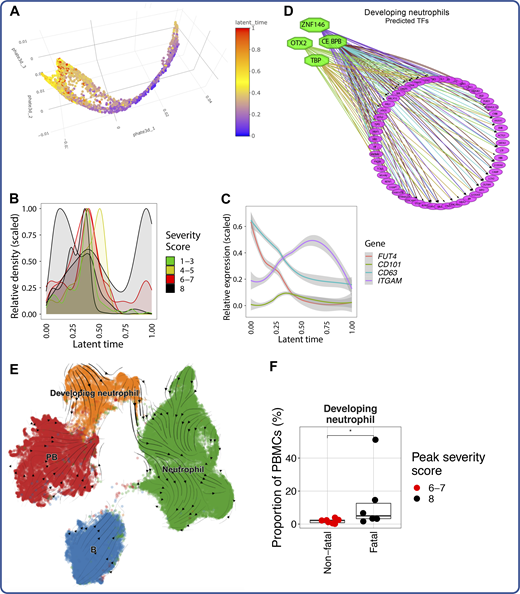 Additional analysis of emergency granulopoiesis in severe and fatal COVID-19. (A) Three-dimensional PHATE projection of developing neutrophils. (B) Scaled abundances of developing neutrophils present in individual COVID-19 patients across latent time. (C) Scaled expression of genes reported to define different stages of immature neutrophil development in COVID-19 (Schulte-Schrepping et al., 2020). (D) TF activity prediction analysis by iRegulon (Janky et al., 2014), using positive DEGs for developing neutrophils relative to all other cells as input (Table S19). (E) UMAP projection of developing neutrophils, canonical neutrophils, B cells, and PBs overlaid with RNA velocity stream (Bergen et al., 2020). (F) Box plot depicting proportion of developing neutrophils in patients with nonfatal severe versus fatal severe COVID-19. Points are colored and grouped by the peak disease severity score. *, P < 0.05 by two-sided Wilcoxon rank-sum test.