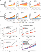 Tetracyclines restrain the growth of therapy-resistant melanomas. (A) Cell growth (measured as a percentage of cell confluency) of MM011 (NRAS mutant), UM 92.1 (GNAQ mutant, UM), and IGR37 (resistant to immunotherapy) cell lines upon exposure to increasing concentrations of tigecycline for 72 h. Data are mean ± SEM of three independent experiments. *, P < 0.05; ***, P < 0.001; ****, P < 0.0001 by Dunnett’s test. (B) Cell growth (measured as percentage of cell confluency) of cells described in A upon exposure to increasing concentrations of doxycycline for 72 h. Data are mean ± SEM of three independent experiments. *, P < 0.05; ***, P < 0.001; ****, P < 0.0001 by Dunnett’s test. (C) Tumor volume of cohorts of Mel-020 NRASQ61R PDX mice treated with vehicle (DMSO, n = 7) or tigecycline (n = 8). Data are mean ± SEM of different biological replicates. **, P < 0.01 by two-way ANOVA. (D) Tumor volume of cohorts of Mel-083 (resistant to BRAFi + MEKi and anti–PD-1 + anti-CTLA-4) PDX mice treated with vehicle (DMSO, n = 2) or tigecycline (n = 4). Data are mean ± SEM of different biological replicates. ****, P < 0.0001 by two-way ANOVA. (E) Tumor volume of cohorts of Mel-077 UM PDX mice treated with vehicle (DMSO, n = 4) or tigecycline (n = 5). Data are mean ± SEM of different biological replicates. ****, P < 0.0001 by two-way ANOVA. (F) Tumor volume of cohorts of YUMMER 1.7 (BRAFV600E) mouse xenografts treated with α-PD-1 (n = 6), tigecycline (n = 6), a combination of the two (n = 6), or vehicle (n = 5). Data are mean ± SEM of different biological replicates. ****, P < 0.0001 by two-way ANOVA with Geisser–Greenhouse correction.