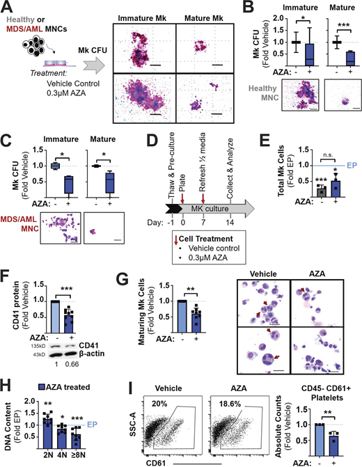 Figure 1. Refer to the image caption for details.