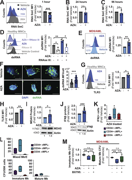 Figure 3. Refer to the image caption for details.